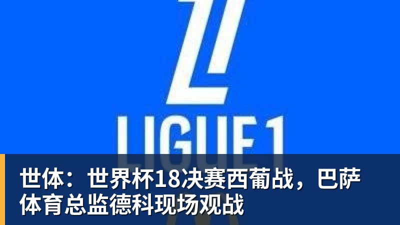 好博体育世体：世界杯18决赛西葡战，巴萨体育总监德科现场观战
