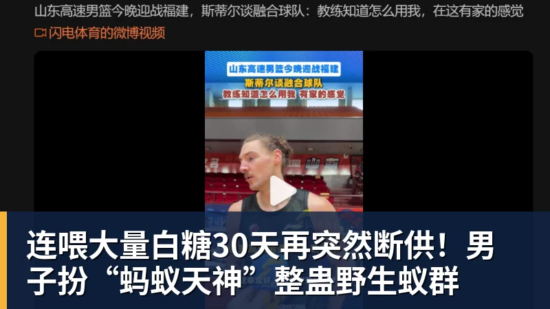好博体育连喂大量白糖30天再突然断供！男子扮“蚂蚁天神”整蛊野生蚁群